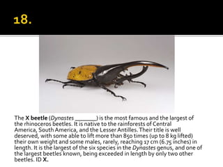 Celebrate after scoring a goal against his
former club
 