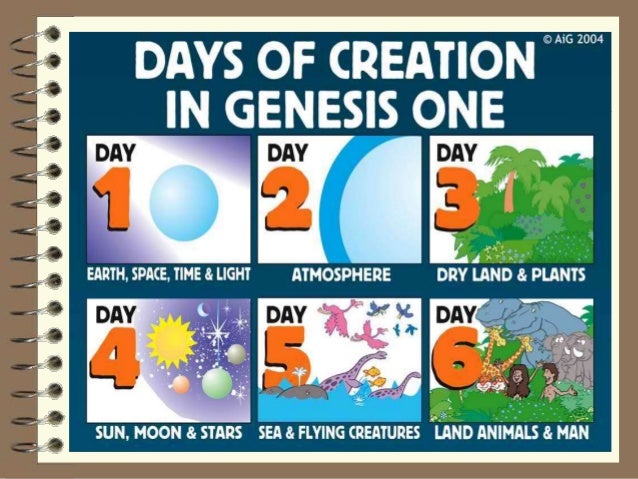 The Provision of God for Mankind