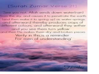 Message towards success