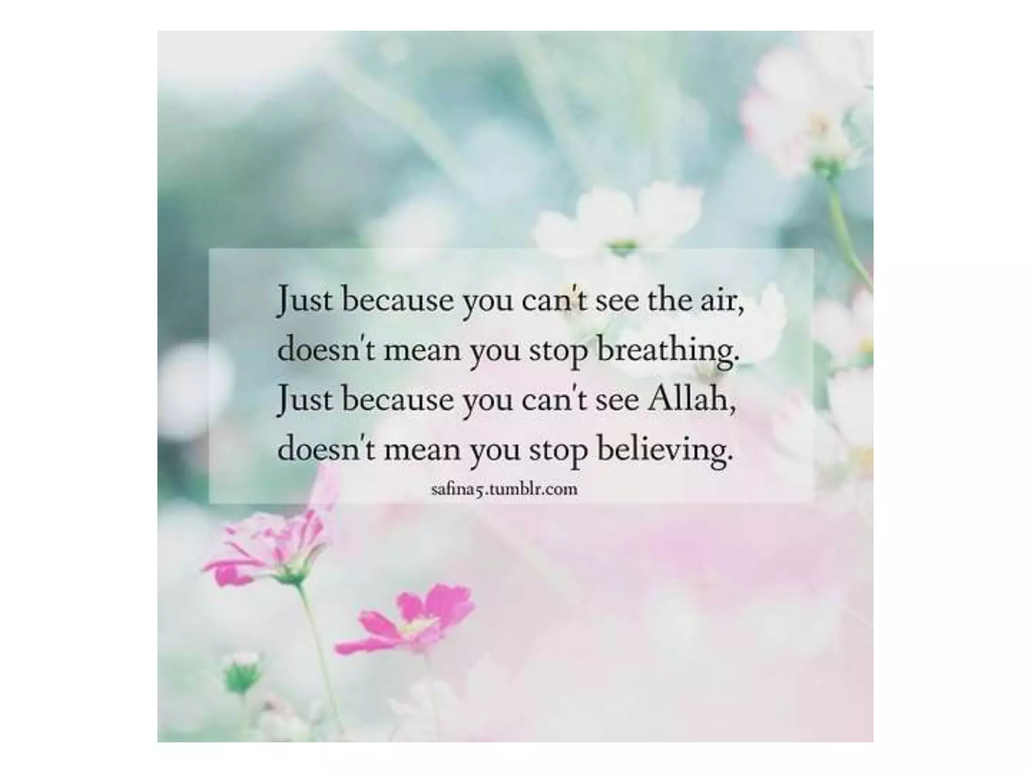 Message towards success