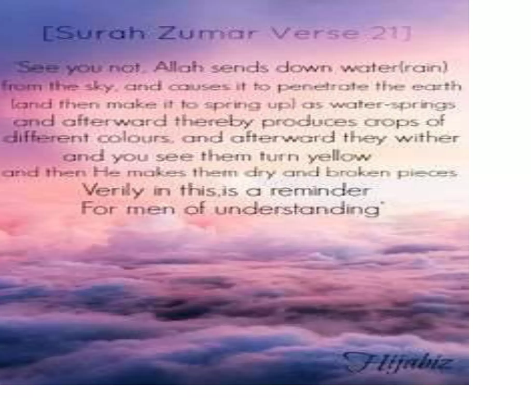 Message towards success