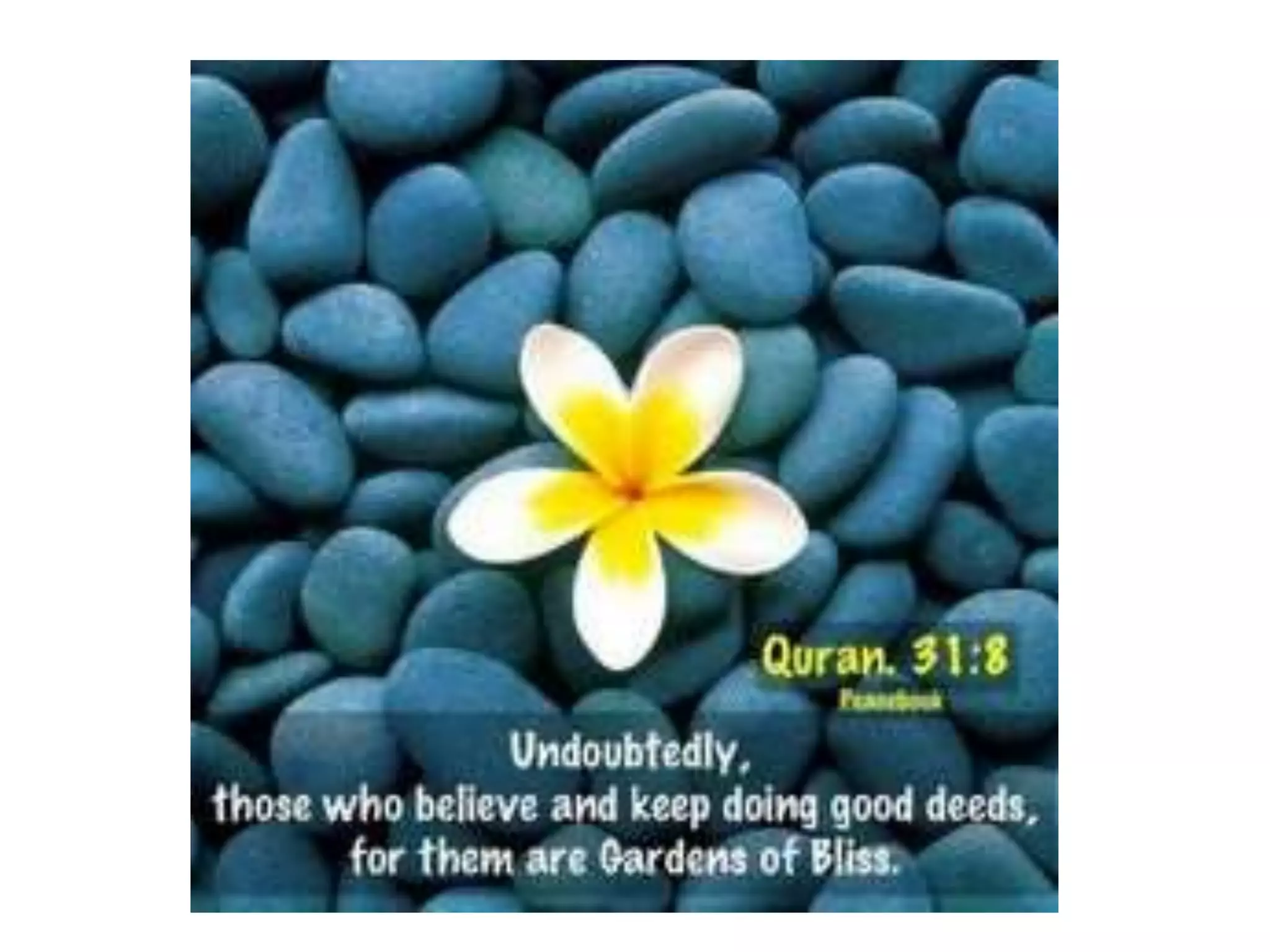 Message towards success