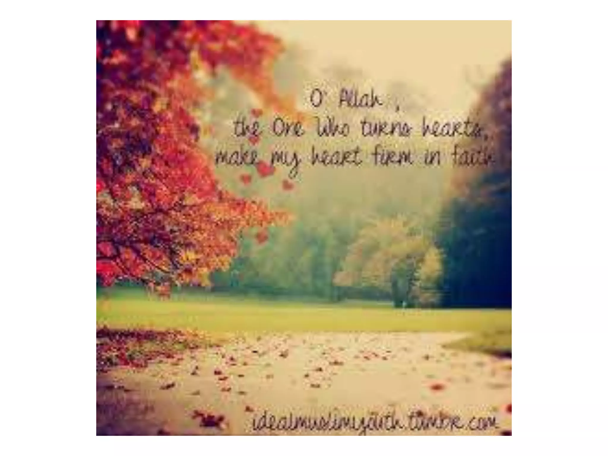 Message towards success