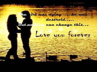 Message   In   A  Bottle