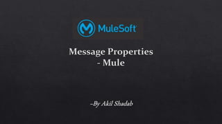 Message properties in Mule