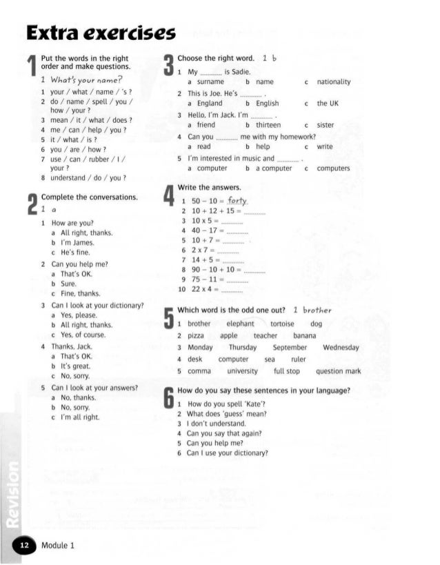 taking wittgenstein at his word a