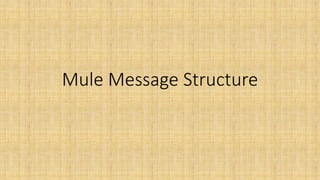 Mule Message Structure
 