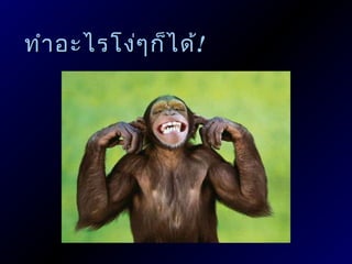 ทำา อะไรโง่ๆ ก็ไ ึϹ!
 