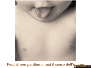 Perché non perdiamo mai il senso dell’umore

 