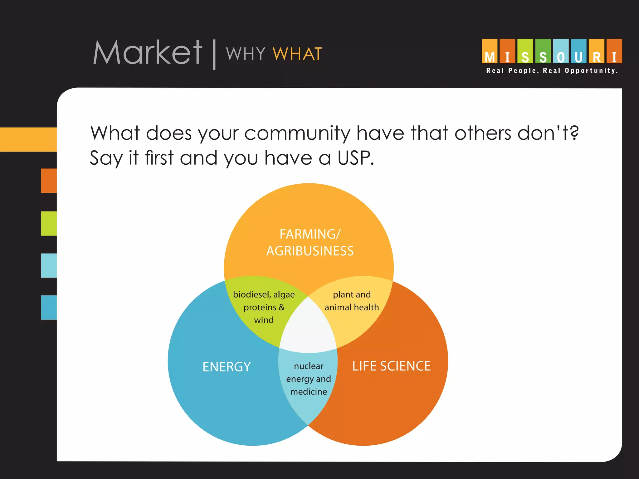 Market|why what
What does your community have that others don’t?
Say it first and you have a USP.
energy life science
farming/
agribusiness
plant and
animal health
biodiesel, algae
proteins &
wind
nuclear
energy and
medicine
 