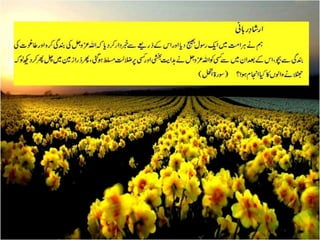 Messege form Hadith