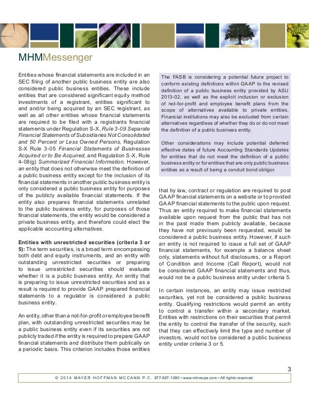 Private Company Decision Making Framework and Definition of a Public