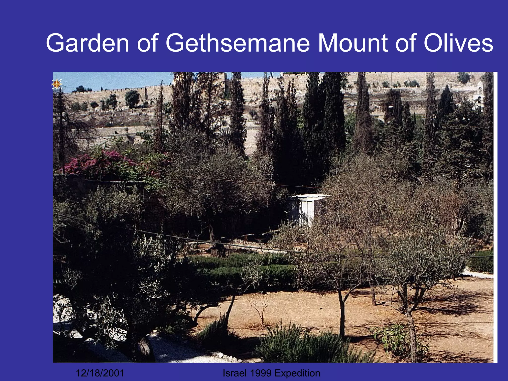 12/18/2001 Israel 1999 Expedition
Garden of Gethsemane Mount of Olives
 
