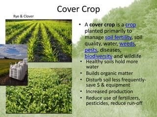 Cover Crop
• A cover crop is a crop
planted primarily to
manage soil fertility, soil
quality, water, weeds,
pests, diseases,
biodiversity and wildlife
• Healthy soils hold more
water
• Builds organic matter
• Disturb soil less frequently-
save $ & equipment
• Increased production
• Reduce use of fertilizers,
pesticides, reduce run-off
Rye & Clover
 
