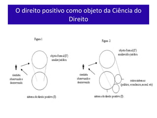 O direito positivo como objeto da Ciência do Direito 