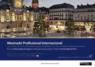 Mestrado Profissional Internacional | Université de Angers