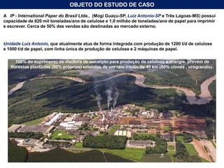  4º. Maior produtor mundial de celulose,