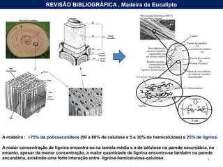  OBJETO DO ESTUDO DE CASO