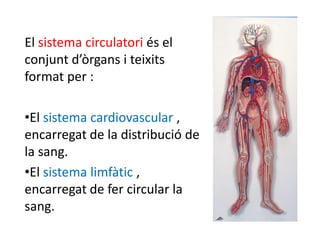 El sistema circulatori és el
conjunt d’òrgans i teixits
format per :

•El sistema cardiovascular ,
encarregat de la distribució de
la sang.
•El sistema limfàtic ,
encarregat de fer circular la
sang.
 