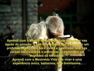 Aprendi com o Mestre da Sensibilidade a navegar nas águas da emoção, a não ter medo da dor, a procurar um profundo significado para a vida e a perceber que nas coisas mais simples e anônimas se escondem os segredos da felicidade. Aprendi com o Mestre da Vida que viver é uma experiência única, belíssima, mas brevíssima. 