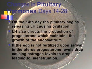 Changes in Pituitary
Hormones Days 14-28:
 On the 14th day the pituitary begins
releasing LH causing ovulation
 LH also directs the production of
progesterone which maintains the
growth of the endometrium.
 If the egg is not fertilized upon arrival
in the uterus progesterone levels drop
causing estrogen levels to drop
leading to menstruation.
 