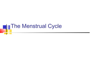 The Menstrual Cycle
 