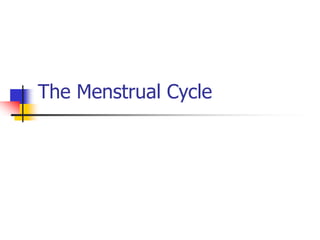 The Menstrual Cycle
 