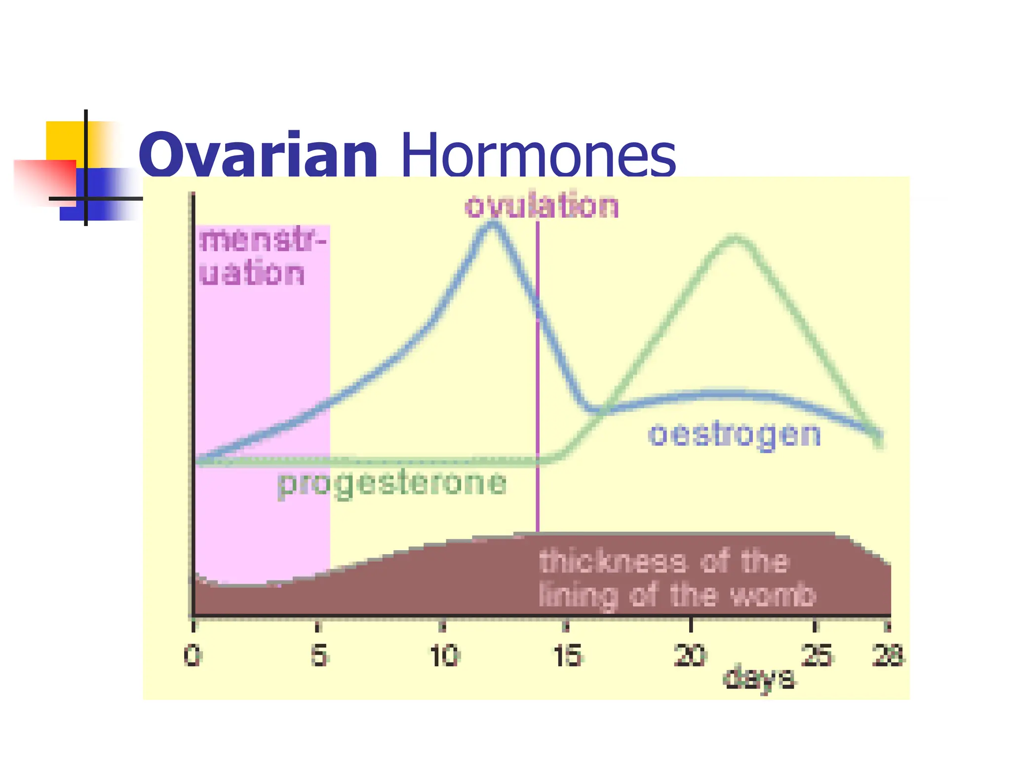 Ovarian Hormones
 