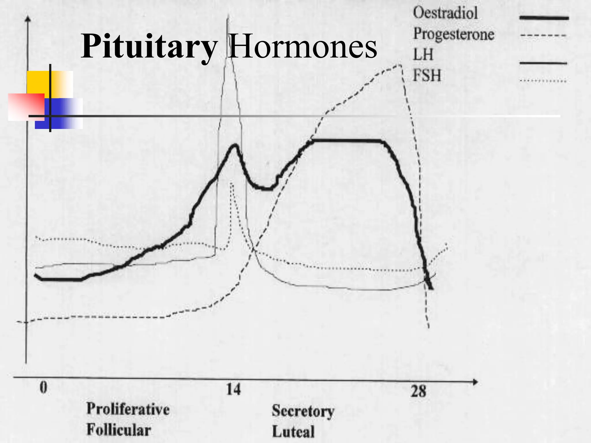 Pituitary Hormones
 