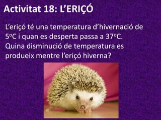 Activitat 18: L’ERIÇÓ
L’eriçó té una temperatura d’hivernació de
5oC i quan es desperta passa a 37oC.
Quina disminució de temperatura es
produeix mentre l’eriçó hiverna?
 