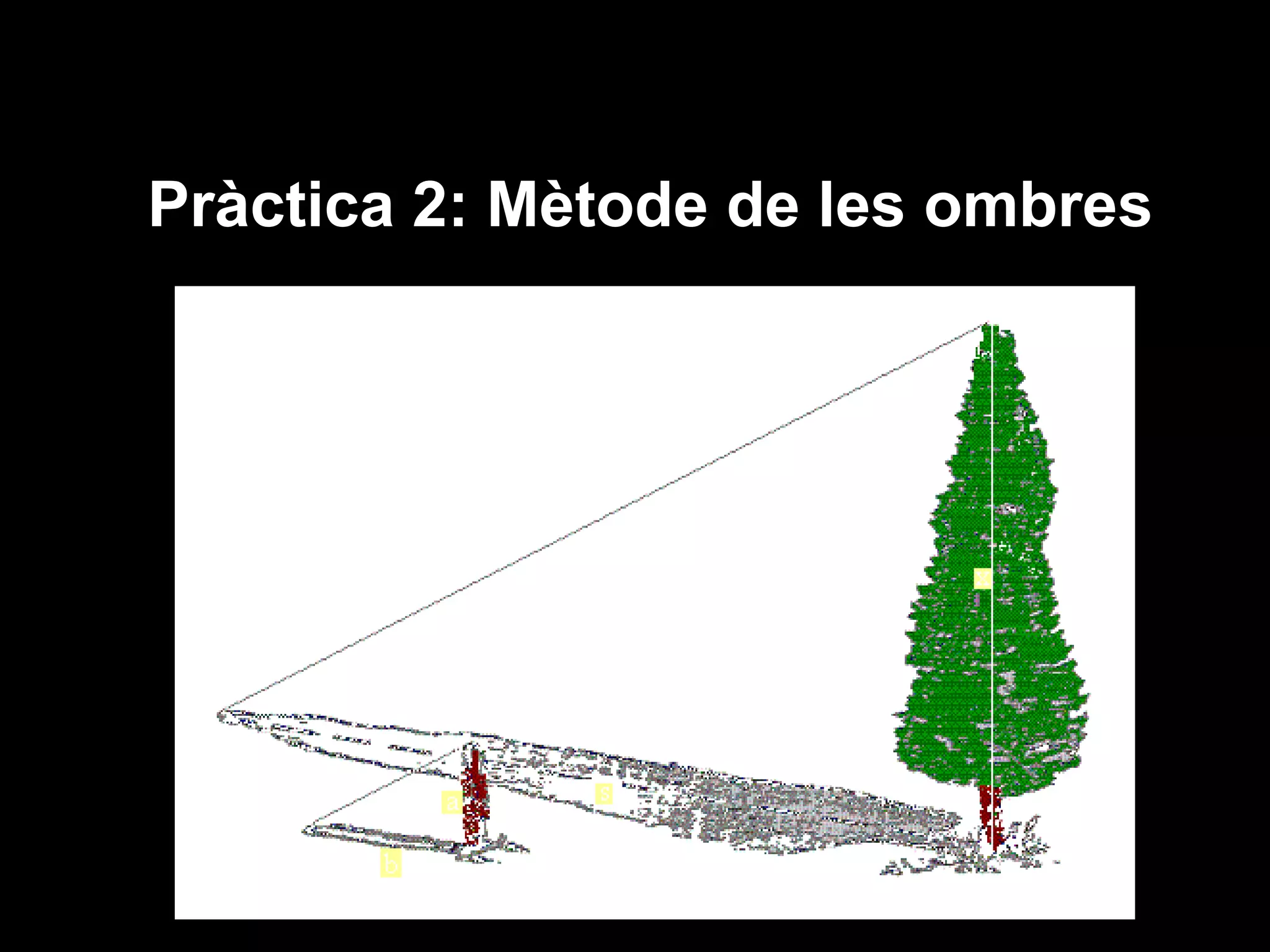 Pràctica 2: Mètode de les ombres
 