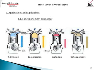 Steiner Damien et Mariotte Sophie




                                    19
 