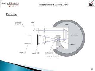 Steiner Damien et Mariotte Sophie




                                    22
 
