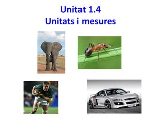 Unitat 1.4
Unitats i mesures
 