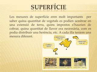 SUPERFÍCIE
Les mesures de superfície eren molt importants per
saber quina quantitat de vegetals es podien sembrar en
una extensió de terra, quins impostos s’haurien de
cobrar, quina quantitat de llavor era necessària, com es
podia distribuir una herència, etc. A cada illa teníem una
mesura diferent.
 