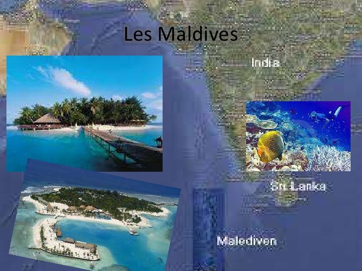 Les vacances de maigret image