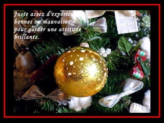 Juste assez d'expériences, bonnes ou mauvaises pour garder une attitude brillante. 