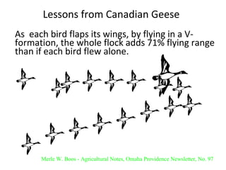 Lessons from Canadian Geese As  each bird flaps its wings, by flying in a V-formation, the whole flock adds 71% flying range than if each bird flew alone. Merle W. Boos - Agricultural Notes, Omaha Providence Newsletter, No. 97 