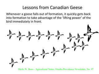 Lessons from Canadian Geese Whenever a goose falls out of formation, it quickly gets back into formation to take advantage of the ‘lifting power’ of the bird immediately in front. Merle W. Boos - Agricultural Notes, Omaha Providence Newsletter, No. 97 