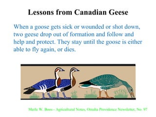 Lessons from Canadian Geese When a goose gets sick or wounded or shot down, two geese drop out of formation and follow and help and protect. They stay until the goose is either able to fly again, or dies. Merle W. Boos - Agricultural Notes, Omaha Providence Newsletter, No. 97 