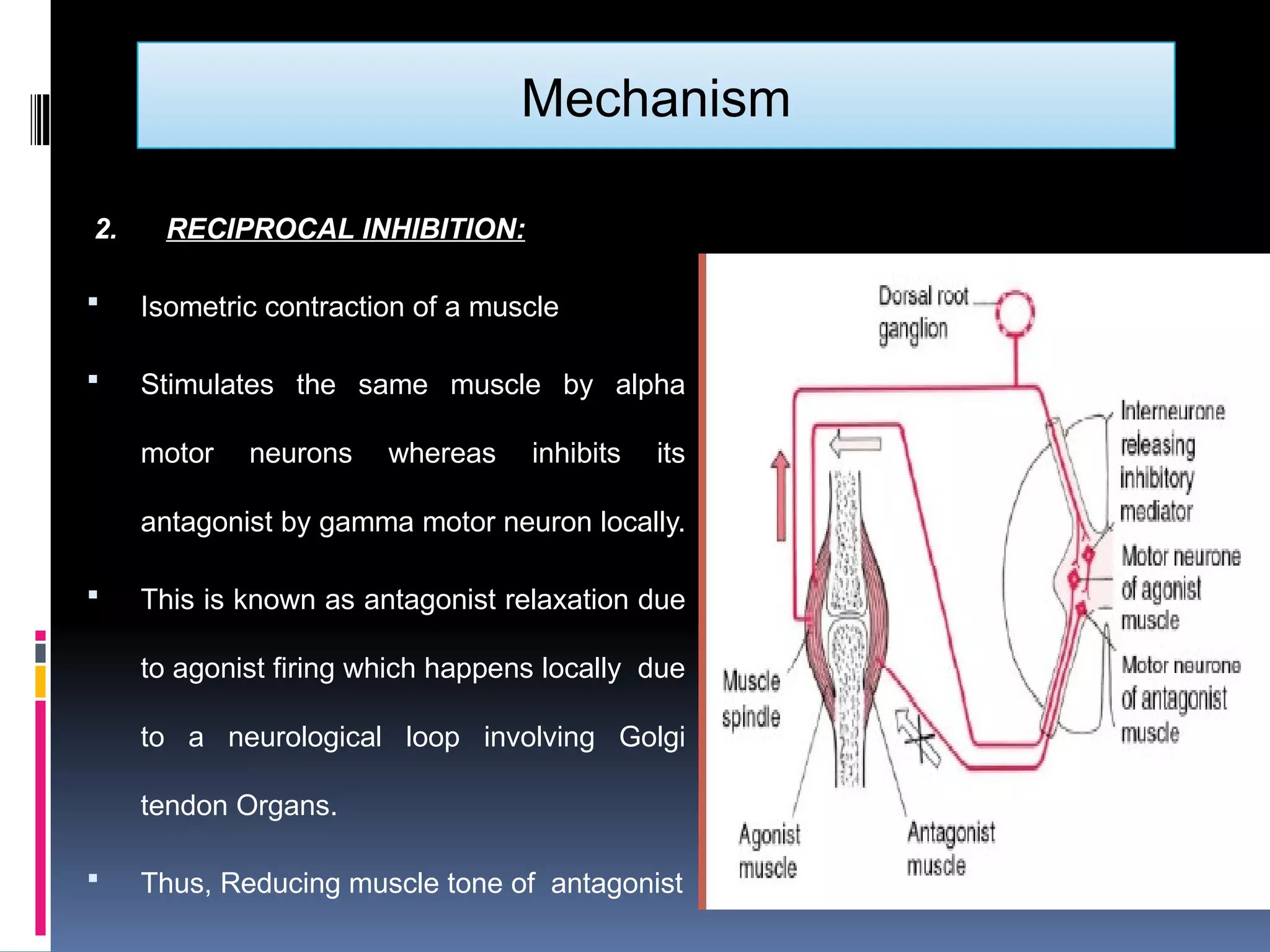 MET: Muscle Energy Technique | PDF