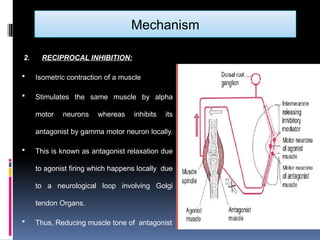 MET: Muscle Energy Technique | PDF