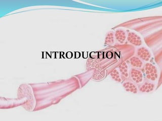 INTRODUCTION
 