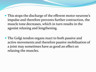  This stops the discharge of the efferent motor neurone’s
impulse and therefore prevents further contraction, the
muscle tone decreases, which in turn results in the
agonist relaxing and lengthening.
 The Golgi tendon organs react to both passive and
active movements and therefore passive mobilisation of
a joint may sometimes have as good an effect on
relaxing the muscles.
 