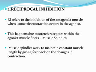  2.RECIPROCAL INHIBITION
 RI refers to the inhibition of the antagonist muscle
when isometric contraction occurs in the agonist.
 This happens due to stretch receptors within the
agonist muscle fibres – Muscle Spindles.
 Muscle spindles work to maintain constant muscle
length by giving feedback on the changes in
contraction.
 