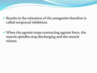  Results in the relaxation of the antagonist therefore is
called reciprocal inhibition.
 When the agonist stops contracting against force, the
muscle spindles stop discharging and the muscle
relaxes.
 