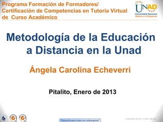 Programa Formación de Formadores/
Certificación de Competencias en Tutoría Virtual
de Curso Académico



 Metodología de la Educación
    a Distancia en la Unad
          Ángela Carolina Echeverri

                 Pitalito, Enero de 2013



                                               FI-GQ-GCMU-004-015 V. 000-27-08-2011
 