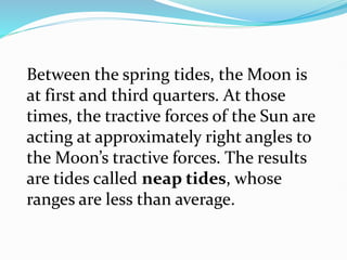 Between the spring tides, the Moon is
at first and third quarters. At those
times, the tractive forces of the Sun are
acting at approximately right angles to
the Moon’s tractive forces. The results
are tides called neap tides, whose
ranges are less than average.
 