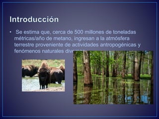• Se estima que, cerca de 500 millones de toneladas
métricas/año de metano, ingresan a la atmósfera
terrestre proveniente de actividades antropogénicas y
fenómenos naturales diversos.
 