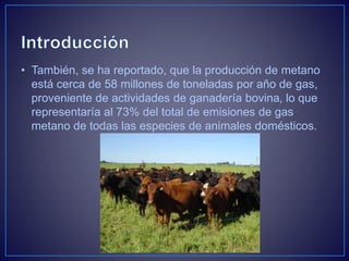 • También, se ha reportado, que la producción de metano
está cerca de 58 millones de toneladas por año de gas,
proveniente de actividades de ganadería bovina, lo que
representaría al 73% del total de emisiones de gas
metano de todas las especies de animales domésticos.
 